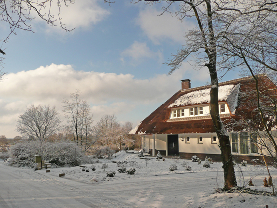 Thijsselaan3.jpg