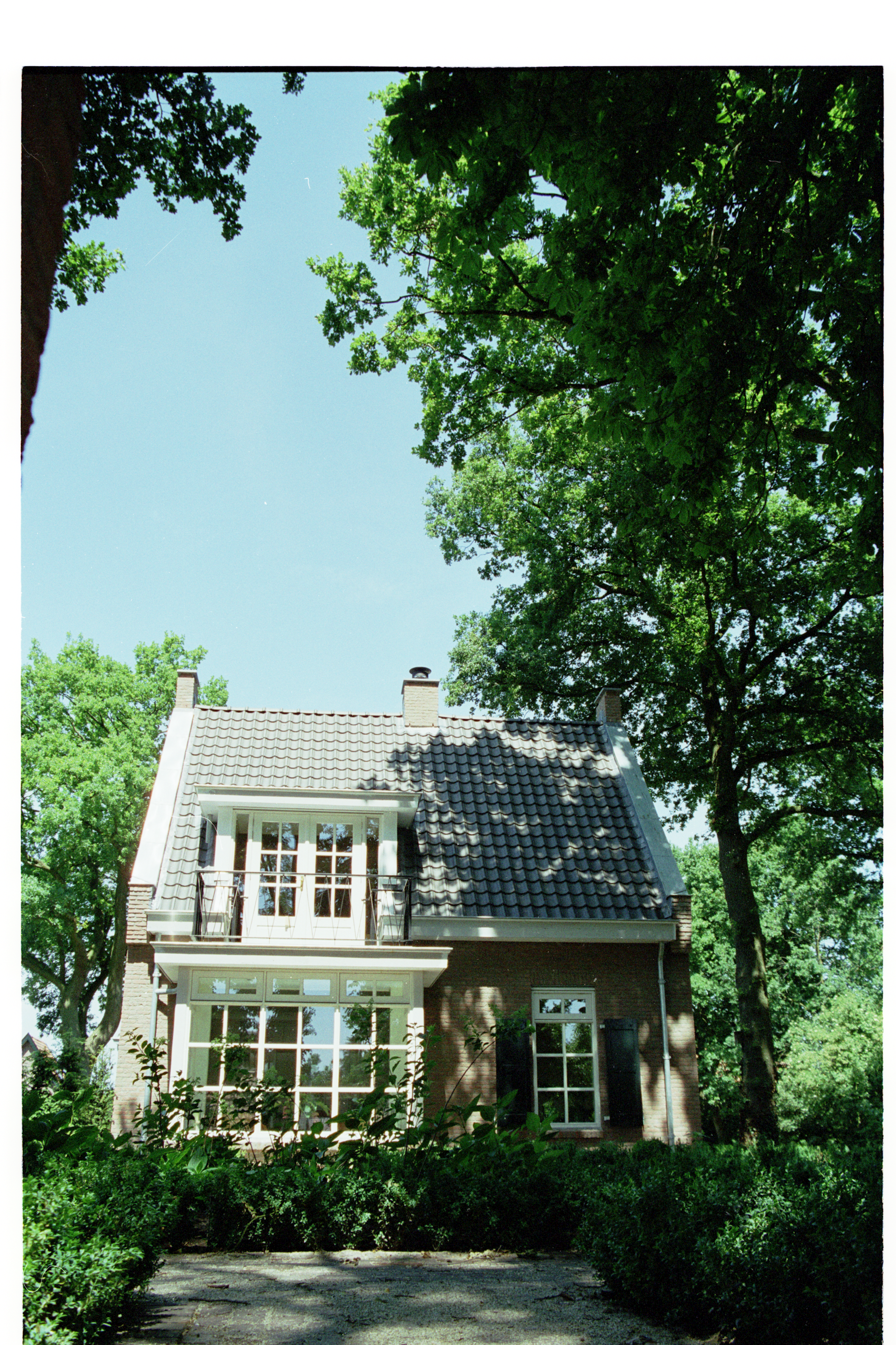 Van Dijk 04.bmp