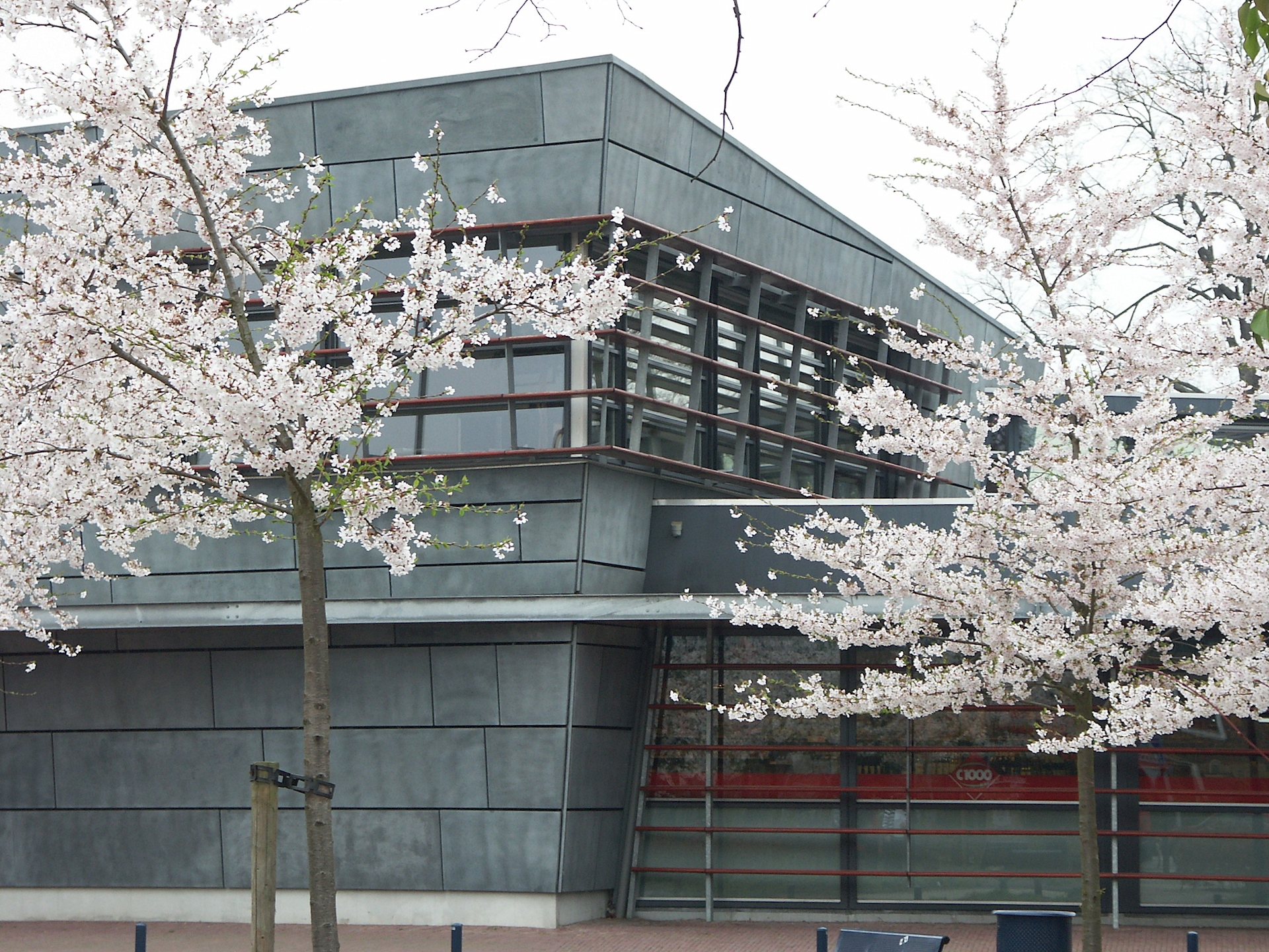 1996.16_13.JPG