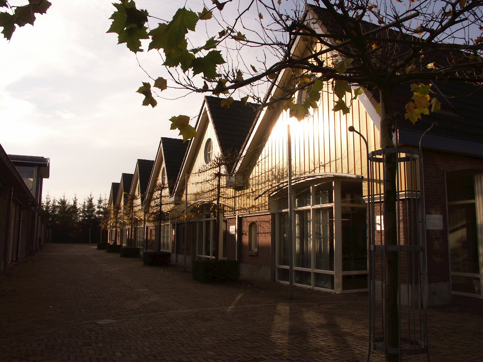 PICT0010.JPG